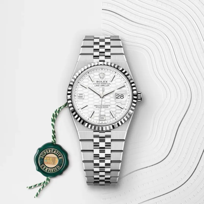 Rolex Land-Dweller 36mm Oystersteel and White Gold M127234-0001 - Image 3