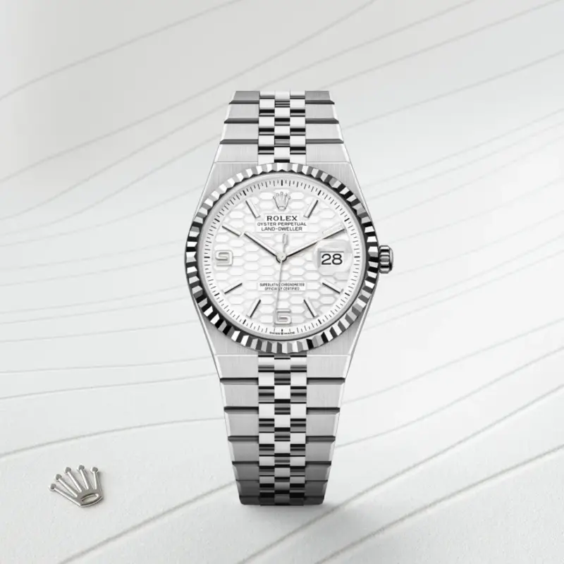 Rolex Land-Dweller 36mm Oystersteel and White Gold M127234-0001