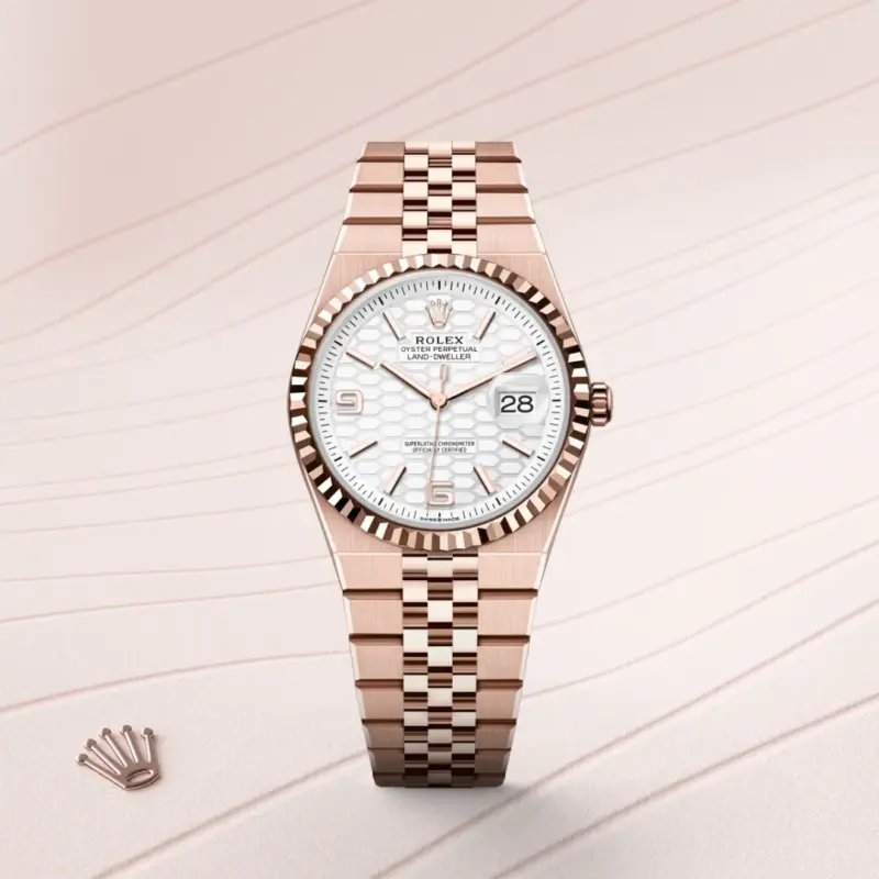 Rolex Land-Dweller 36mm 18 kt Everose gold M127235-0001