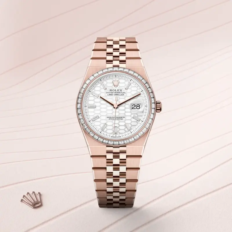 Rolex Land-Dweller 36mm Everose gold and diamonds M127285TBR-0002