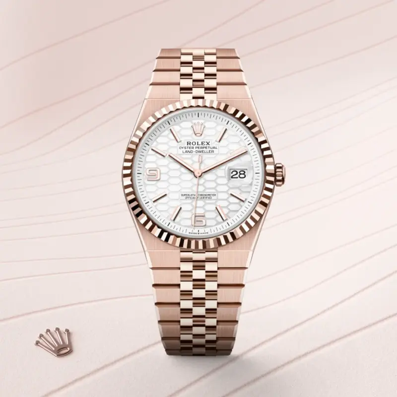 Rolex Land-Dweller 40mm 18 kt Everose gold, M127335-0001